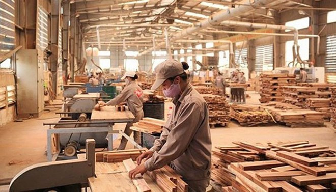 Hausse de 18% des exportations de produits forestiers sur les quatre premiers mois ảnh 1 Hausse de 18% des exportations de produits forestiers sur les quatre premiers mois ảnh 1