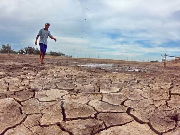 Sécheresse : 904 tonnes de riz pour Binh Dinh ảnh 1