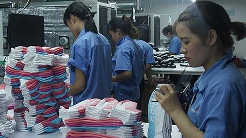 Le Vietnam, partenaire en commerce important de l’Italie ảnh 1 Le Vietnam, partenaire en commerce important de l’Italie ảnh 1