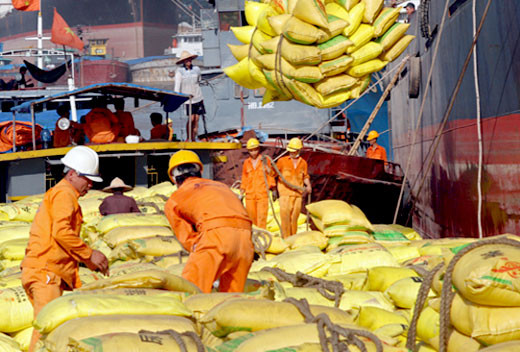 An Giang entend accélérer ses exportations de riz ảnh 2 An Giang entend accélérer ses exportations de riz ảnh 2