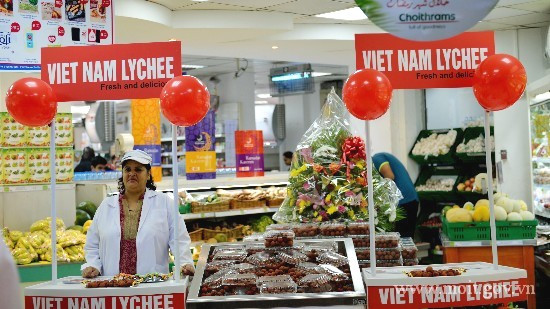 Les EAU, 7e partenaire en commerce du Vietnam ảnh 1 Les EAU, 7e partenaire en commerce du Vietnam ảnh 1