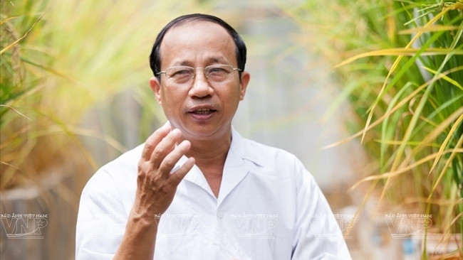 Nguyên Viêt Cuong et les variétés de riz pour les terres alunées de Dông Thap Muoi ảnh 1 Nguyên Viêt Cuong et les variétés de riz pour les terres alunées de Dông Thap Muoi ảnh 1