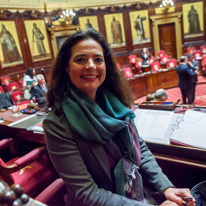 La présidente du Sénat belge attendue au Vietnam ảnh 1 La présidente du Sénat belge attendue au Vietnam ảnh 1