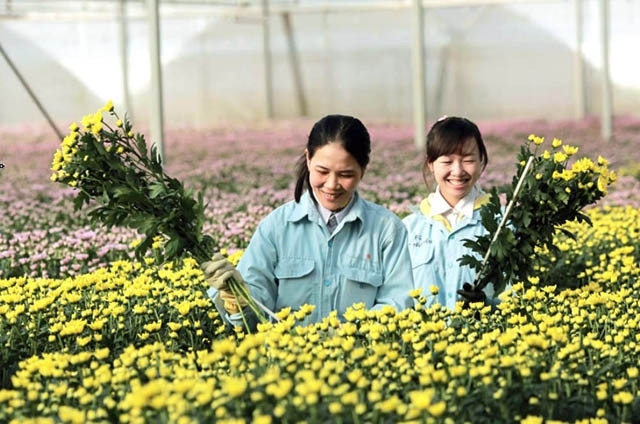 Développer l’agriculture high-tech au service de la modernisation de l’agriculture ảnh 1 Développer l’agriculture high-tech au service de la modernisation de l’agriculture ảnh 1