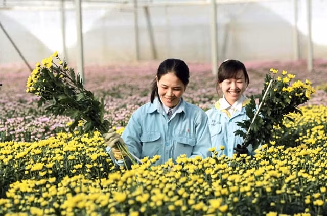 Développer l’agriculture high-tech au service de la modernisation de l’agriculture ảnh 1