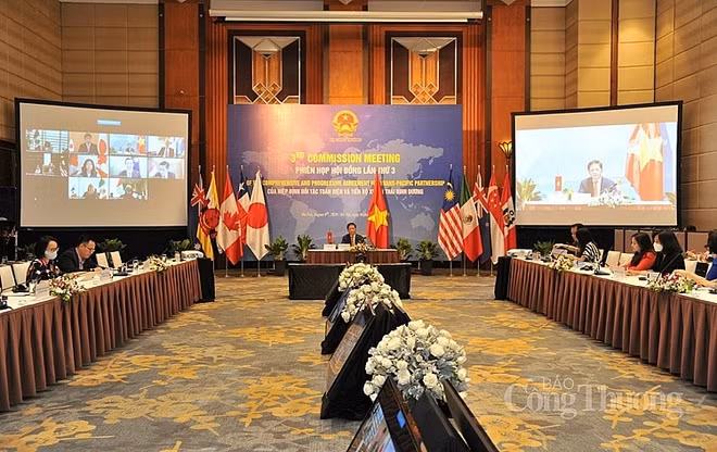 Les pays members du CPTPP réitèrent leur soutien à la libéralisation du commerce ảnh 1