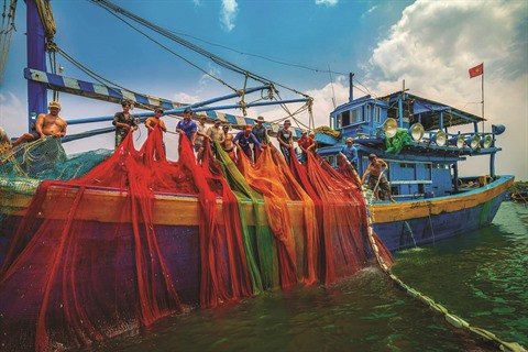 Photographes vietnamiennes, un itinéraire difficile pour un rêve à portée de main ảnh 3 Photographes vietnamiennes, un itinéraire difficile pour un rêve à portée de main ảnh 3
