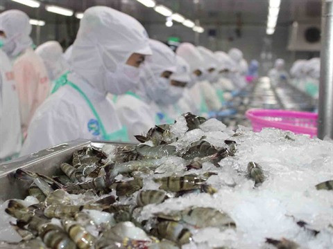 Les secteurs d’exportation de pointe exploitent les accords de libre-échange ảnh 1