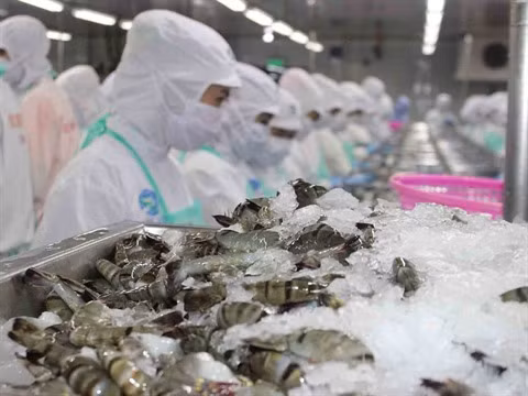 Les secteurs d’exportation de pointe exploitent les accords de libre-échange ảnh 1