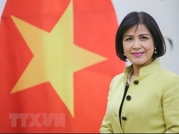 Le Vietnam soutient le rôle du Centre Sud dans la promotion de la coopération entre les pays en développement ảnh 1 Le Vietnam soutient le rôle du Centre Sud dans la promotion de la coopération entre les pays en développement ảnh 1