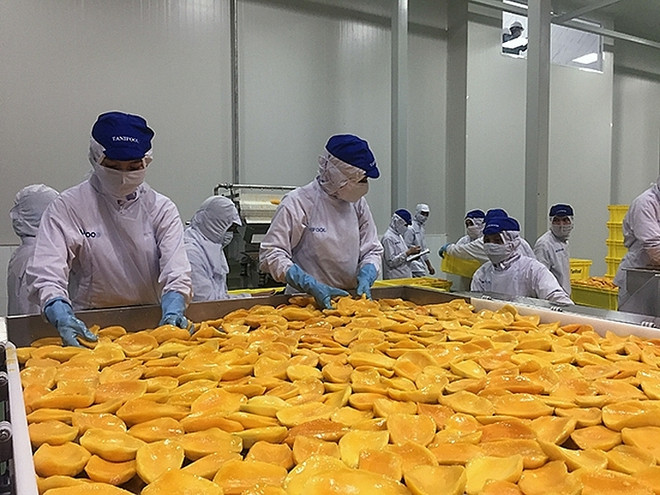 L'Australie augmente ses importations de fruits et légumes transformés du Vietnam ảnh 1 L'Australie augmente ses importations de fruits et légumes transformés du Vietnam ảnh 1