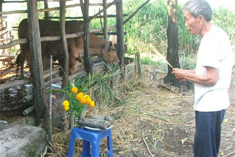 Le buffle dans la vie culturelle et spirituelle des Vietnamiens ảnh 3 Le buffle dans la vie culturelle et spirituelle des Vietnamiens ảnh 3