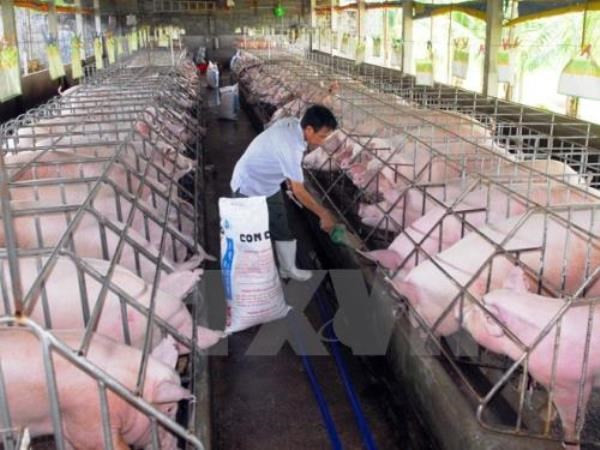 Élevage: Ouverture de l’exposition Vietstock 2018 à Ho Chi Minh-Ville ảnh 1 Élevage: Ouverture de l’exposition Vietstock 2018 à Ho Chi Minh-Ville ảnh 1