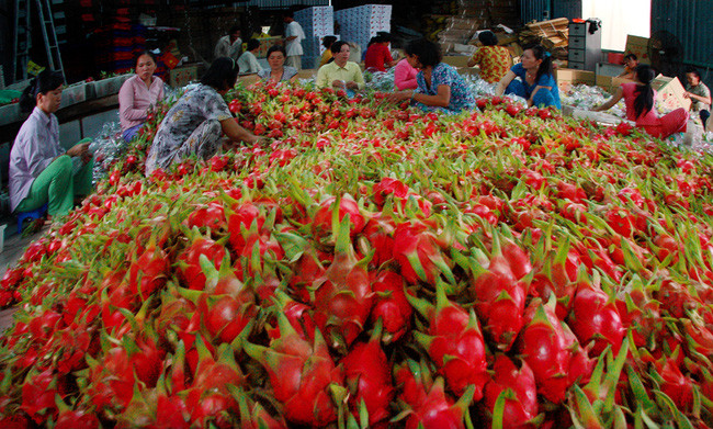 La Chine, premier partenaire commercial du Vietnam en janvier ảnh 1 La Chine, premier partenaire commercial du Vietnam en janvier ảnh 1
