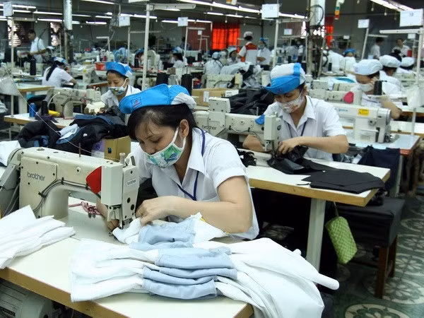 Dong Thap attire 19 projets d'investissement direct étranger ảnh 1 Dong Thap attire 19 projets d'investissement direct étranger ảnh 1