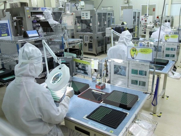 L’Inde et le Vietnam renforcent la coopération dans les TI ảnh 1