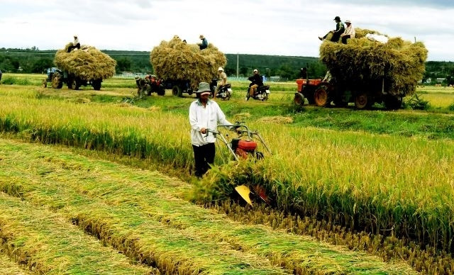 BM: L’économie vietnamienne reste stable malgré l'évolution mondiale ảnh 1 BM: L’économie vietnamienne reste stable malgré l'évolution mondiale ảnh 1