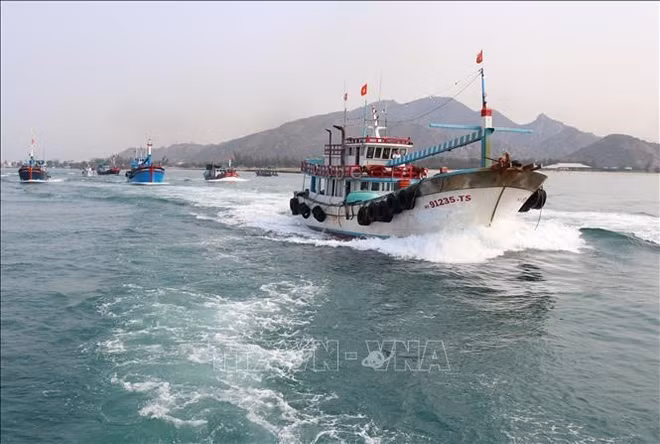 Les pêcheurs maintiennent leurs activités dans les eaux du Vietnam ảnh 1