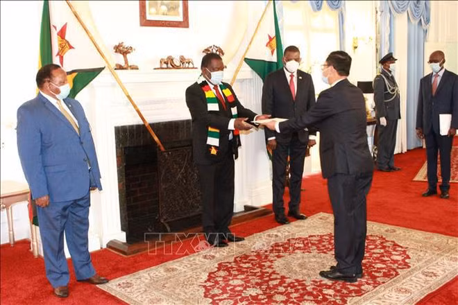 Le Zimbabwe souhaite développer ses relations de coopération multiforme avec le Vietnam ảnh 1