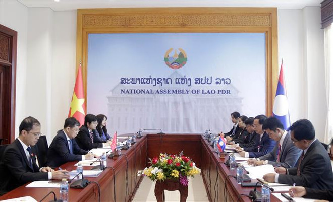 Vietnam-Laos: Renforcement de la coopération entre les Commissions des relations extérieures des AN ảnh 1