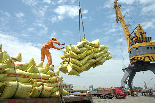 Les exportations de riz vers l’ASEAN affichent une forte progression ảnh 1