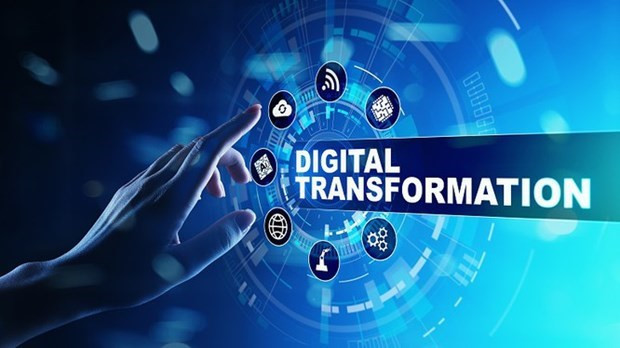 La transformation numérique aide à connecter l’assurance et les bases de données démographiques. ảnh 1 La transformation numérique aide à connecter l’assurance et les bases de données démographiques. ảnh 1