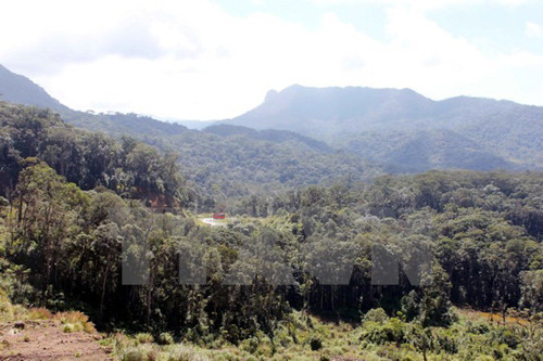 Aide de la JICA pour le développement de la Réserve mondiale de biosphère de Lang Biang ảnh 1
