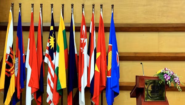Le Vietnam promeut la responsabilité à l’AMM 49 et aux conférences connexes ảnh 1