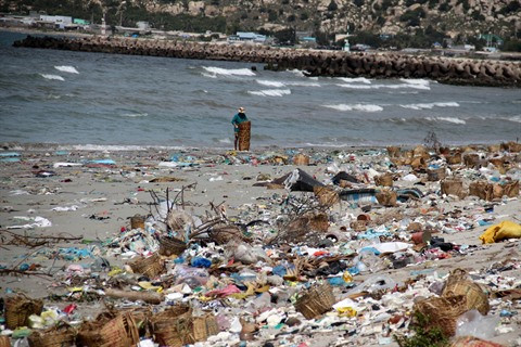 Une addition salée pour l’environnement marin ảnh 2 Une addition salée pour l’environnement marin ảnh 2