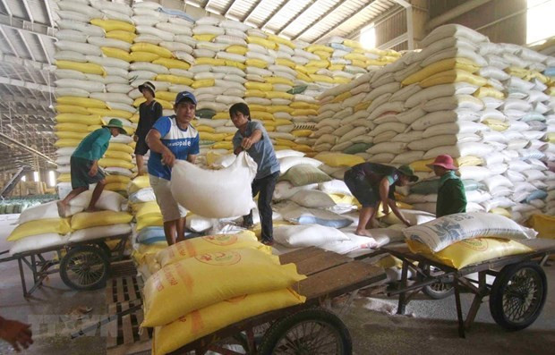 Le prix du riz vietnamien à l'exportation atteint son plus haut niveau en 9 ans ảnh 1