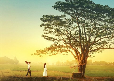 Mat biêc retenu par le Vietnam dans la course aux Oscars 2021 ảnh 2