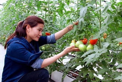 Ces jeunes agriculteurs qui font fortune dans leur terre natale ảnh 1 Ces jeunes agriculteurs qui font fortune dans leur terre natale ảnh 1