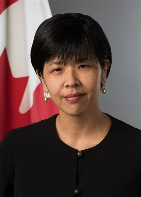 Le Canada veut bâtir une relation forte et durable avec le Vietnam ảnh 1 Le Canada veut bâtir une relation forte et durable avec le Vietnam ảnh 1