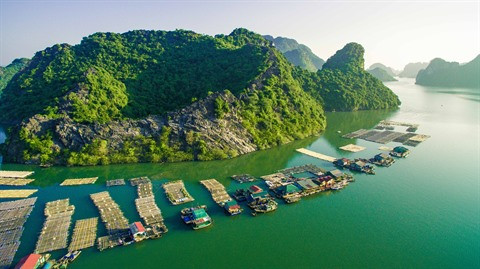 Alliance pour protéger la baie de Ha Long et l’archipel de Cat Bà ảnh 2 Alliance pour protéger la baie de Ha Long et l’archipel de Cat Bà ảnh 2