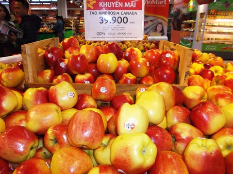 Le Canada veut bâtir une relation forte et durable avec le Vietnam ảnh 3 Le Canada veut bâtir une relation forte et durable avec le Vietnam ảnh 3