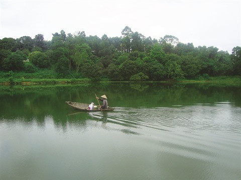 L’intarissable marais d’Ao Châu, une ode à la nature ảnh 2 L’intarissable marais d’Ao Châu, une ode à la nature ảnh 2