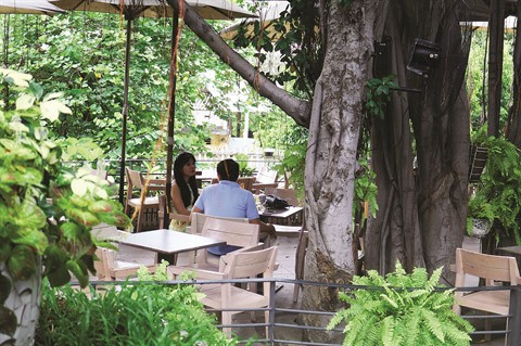 Le café qui se perche sur des arbres séculaires à Hô Chi Minh-Ville ảnh 3 Le café qui se perche sur des arbres séculaires à Hô Chi Minh-Ville ảnh 3