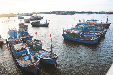 Le Vietnam s’efforce d’aller vers une pêche durable ảnh 1 Le Vietnam s’efforce d’aller vers une pêche durable ảnh 1
