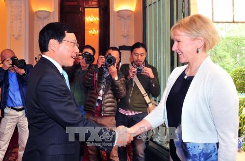 Le Vietnam et la Suède veulent renforcer leurs relations multiformes ảnh 1