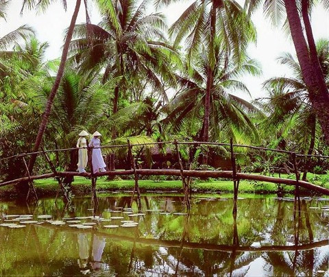 Pont de singe et tyrolienne commerçante, des inventions au service du quotidien ảnh 1 Pont de singe et tyrolienne commerçante, des inventions au service du quotidien ảnh 1
