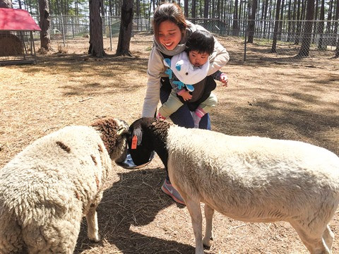 Un parc zoologique australien prend ses quartiers d’altitude à Dà Lat ảnh 2 Un parc zoologique australien prend ses quartiers d’altitude à Dà Lat ảnh 2