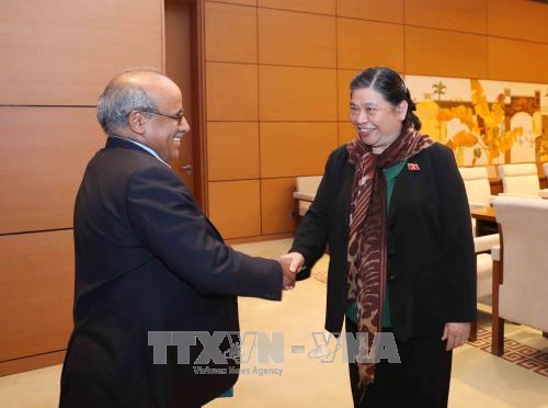 Tong Thi Phong reçoit le représentant de l’UNICEF au Vietnam ảnh 1 Tong Thi Phong reçoit le représentant de l’UNICEF au Vietnam ảnh 1