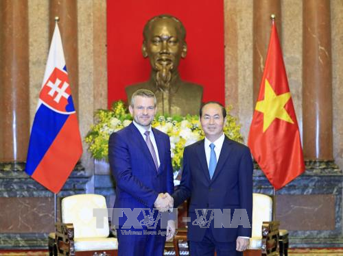 Le président Tran Dai Quang reçoit un vice-PM slovaque ảnh 1 Le président Tran Dai Quang reçoit un vice-PM slovaque ảnh 1