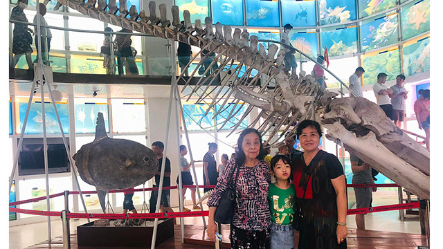 Virée au musée de Quang Ninh sur la baie de Ha Long ảnh 3 Virée au musée de Quang Ninh sur la baie de Ha Long ảnh 3