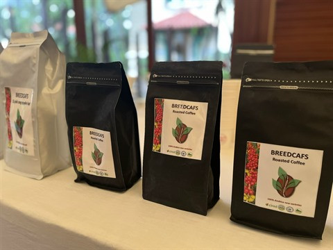 La France soutient la rénovation de la caféiculture dans le Nord-Ouest ảnh 2 La France soutient la rénovation de la caféiculture dans le Nord-Ouest ảnh 2