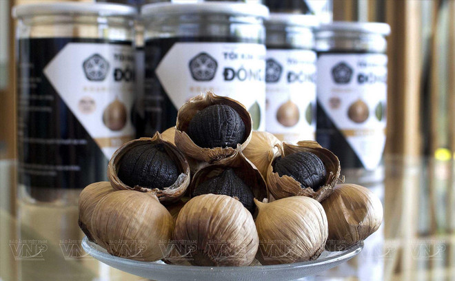 L’ail noir Kim Cuong Dong A donne la pêche ảnh 1