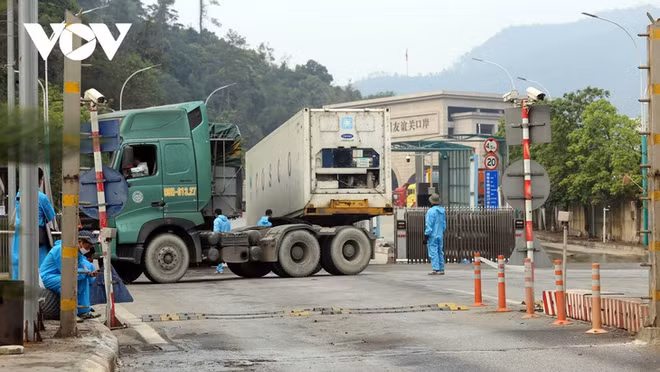 Lang Son facilite les exportations de fruits vers la Chine ảnh 1 Lang Son facilite les exportations de fruits vers la Chine ảnh 1