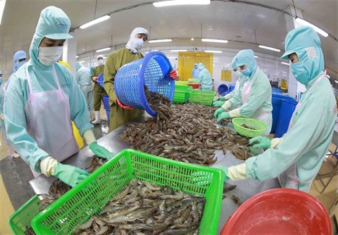 Les ventes de crevettes devraient rapporter 4,2 milliards de dollars en 2022 ảnh 1 Les ventes de crevettes devraient rapporter 4,2 milliards de dollars en 2022 ảnh 1