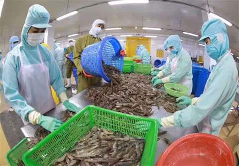 Les ventes de crevettes devraient rapporter 4,2 milliards de dollars en 2022 ảnh 1