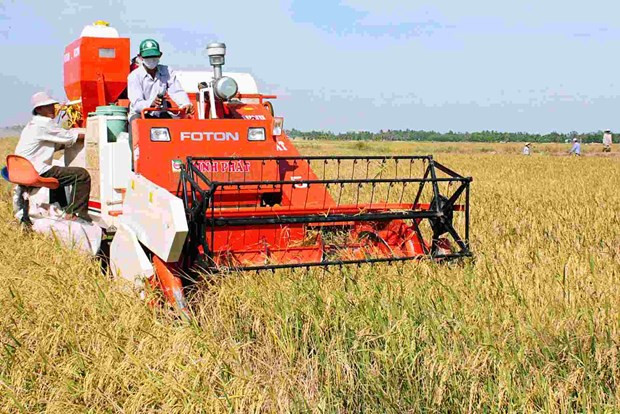 Des agriculteurs innovants à l’ère de la révolution 4.0 ảnh 2 Des agriculteurs innovants à l’ère de la révolution 4.0 ảnh 2